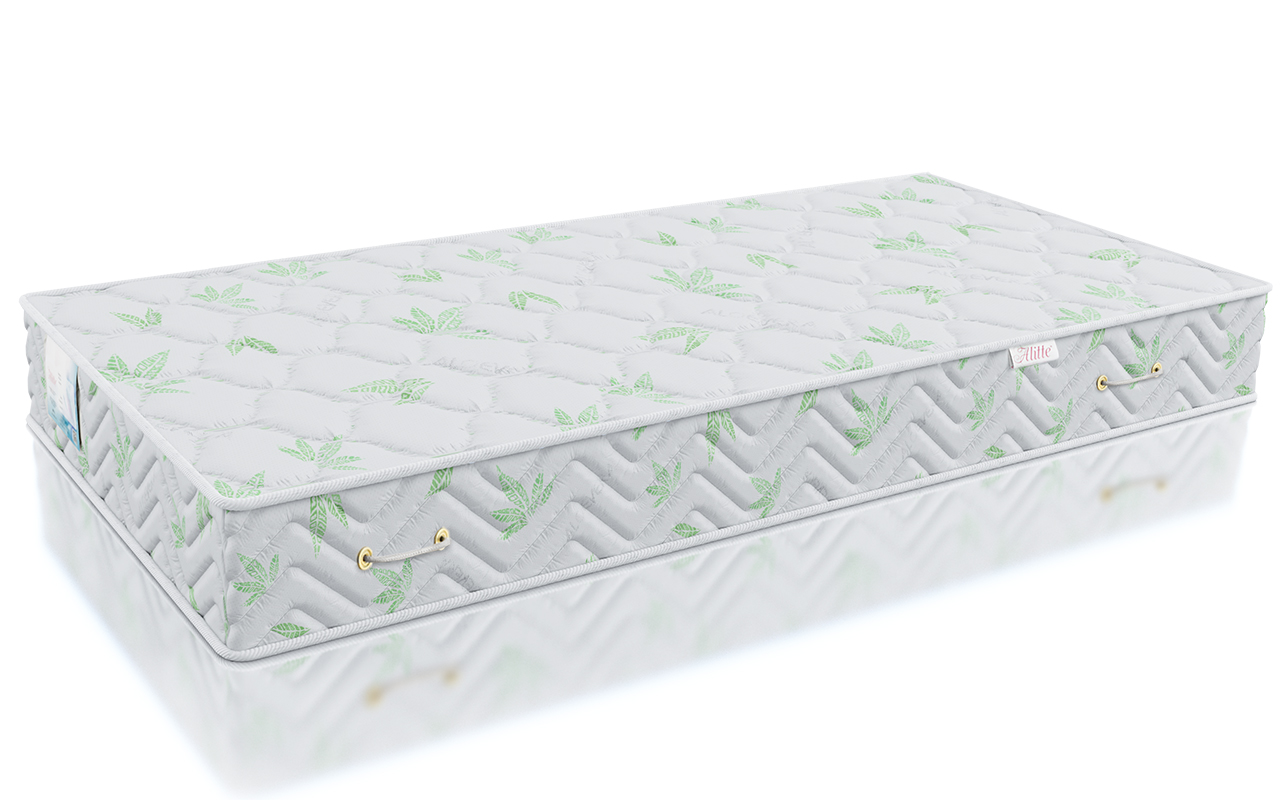 Alitte Classicus Rembrandt S1000 MH-21-K фото 3